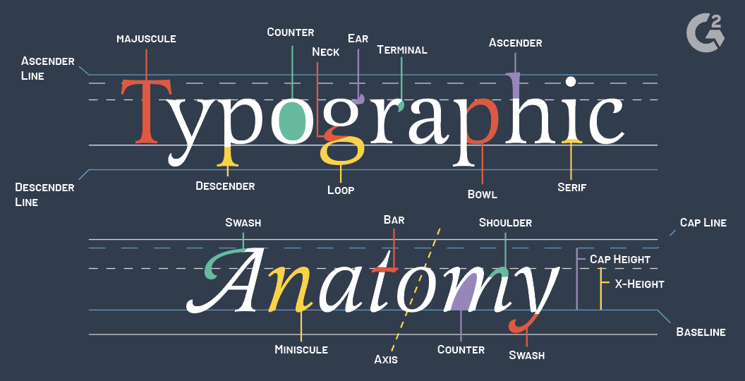 What Is Typography: Terms, Resources, And Trends In 2020